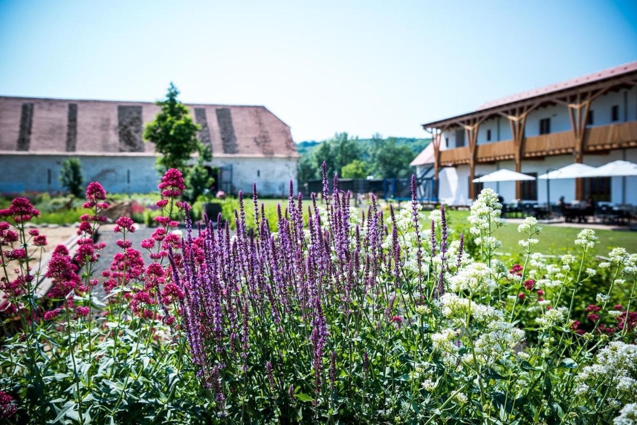 Dvur Perlova Voda Budyne nad Ohri Bagian luar foto