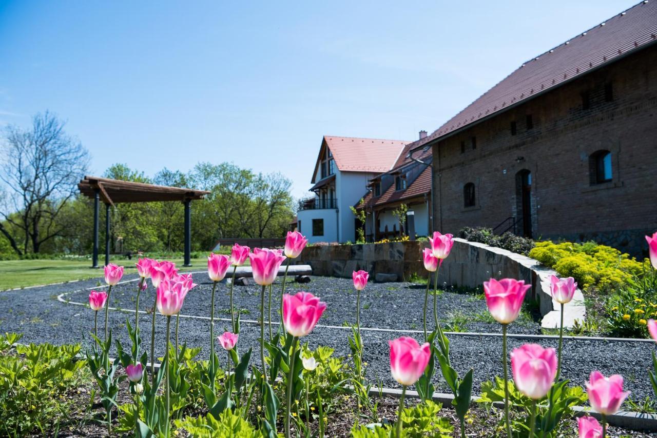 Dvur Perlova Voda Budyne nad Ohri Bagian luar foto